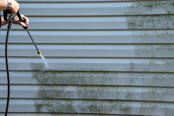 Best Siding Removal and Disposal  in St Louis, MO