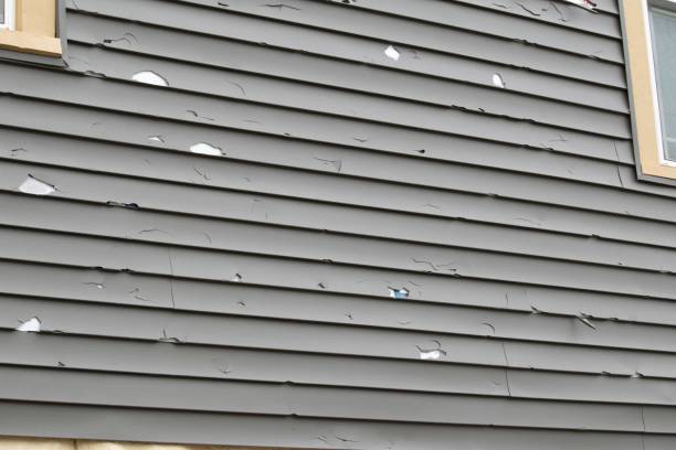  St Louis, MO Siding Pros